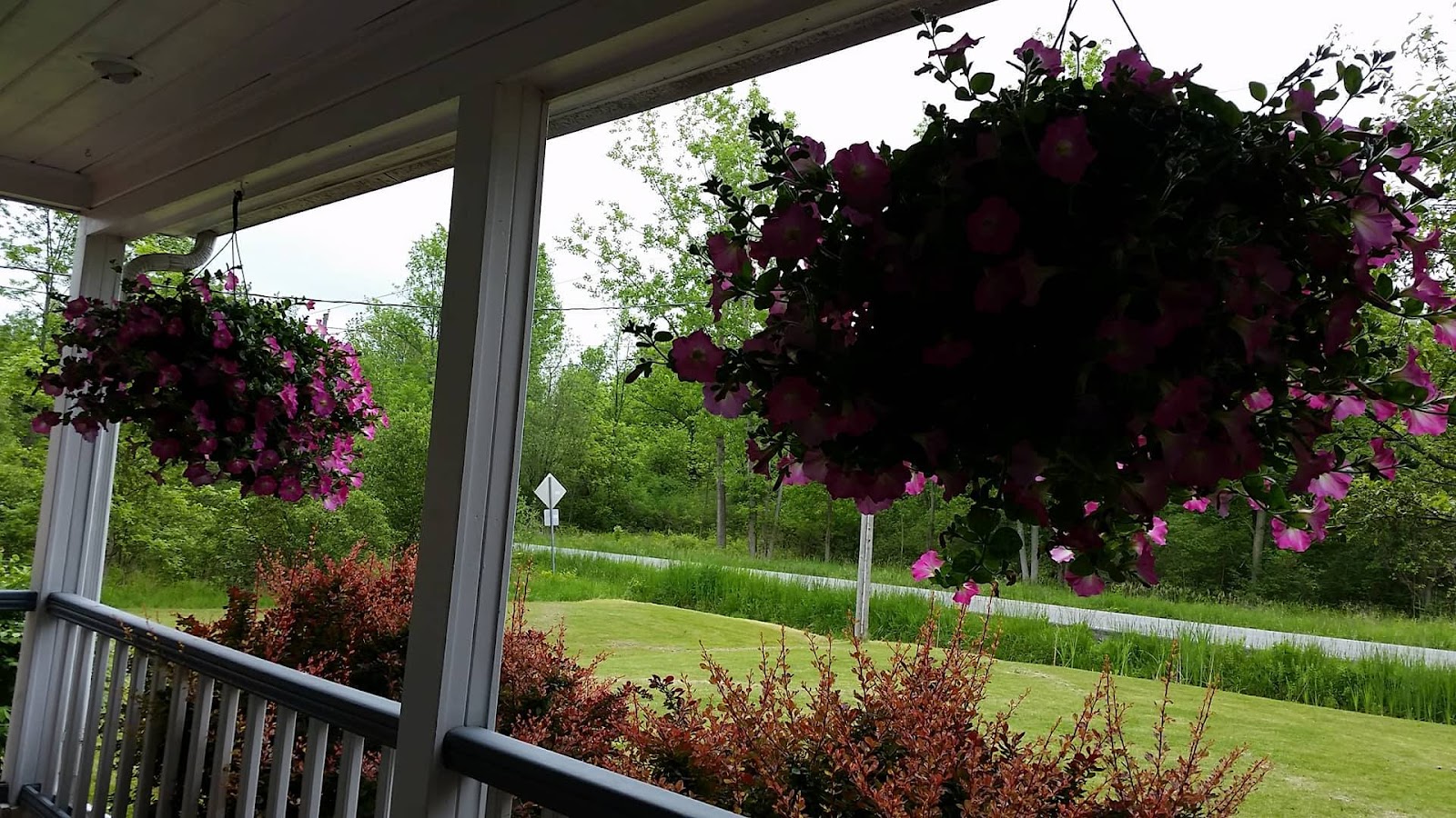 Blasdell Nursery