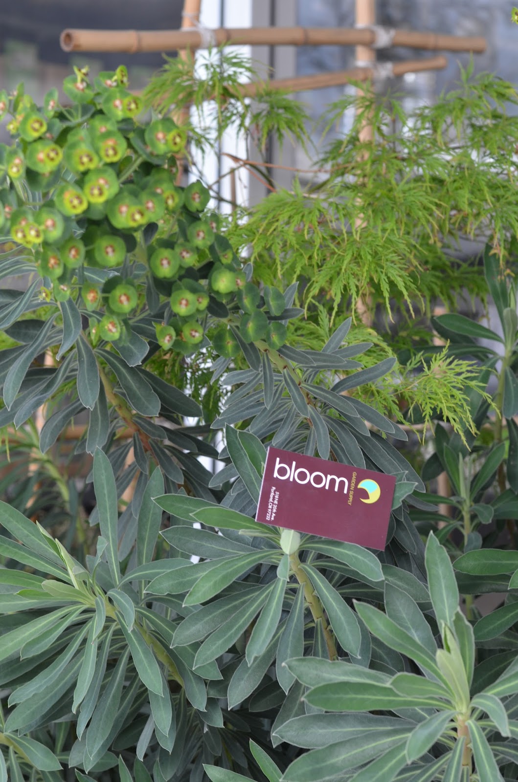 Bloom Garden Supply