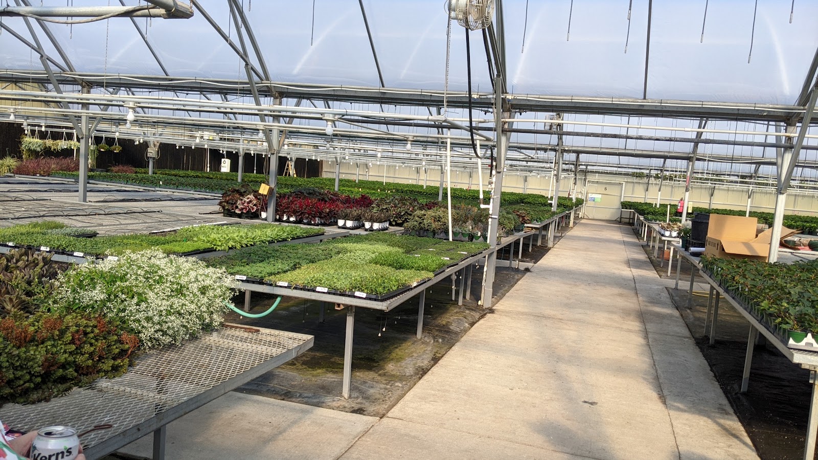 Blooma Farms