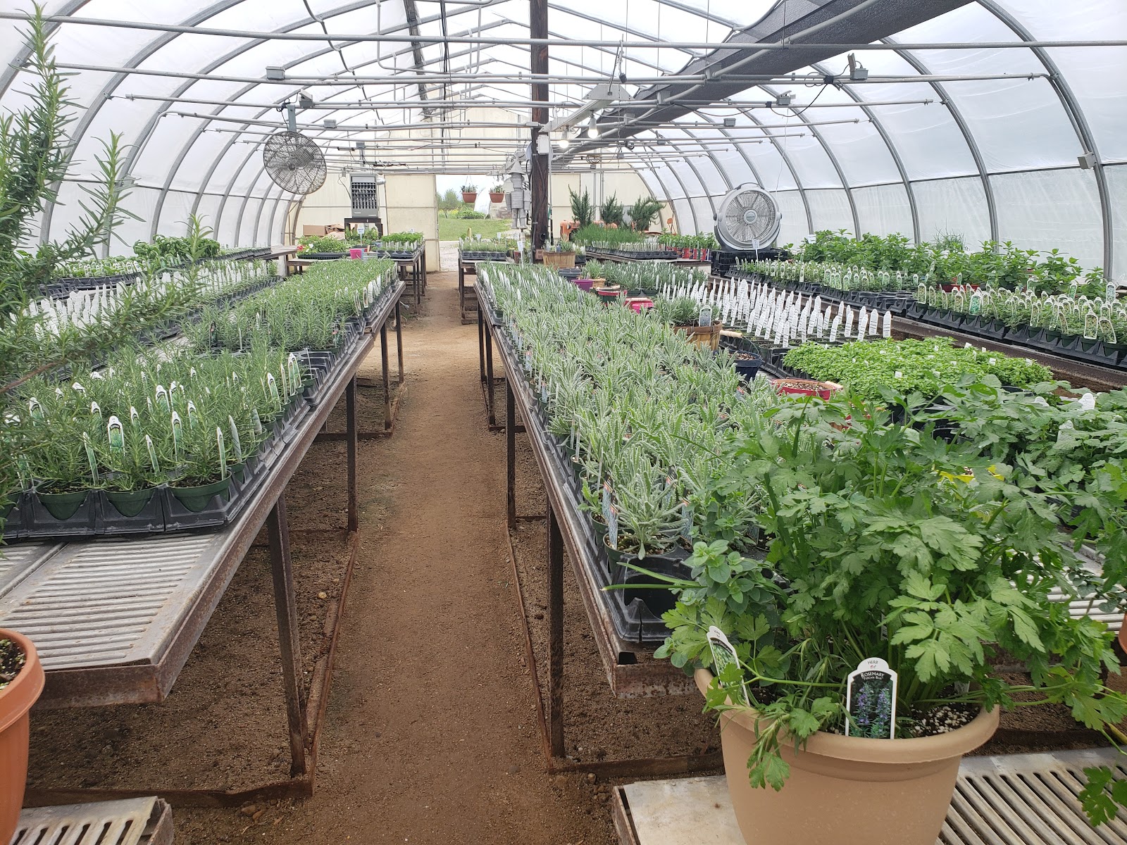 Bloomer's Greenhouse