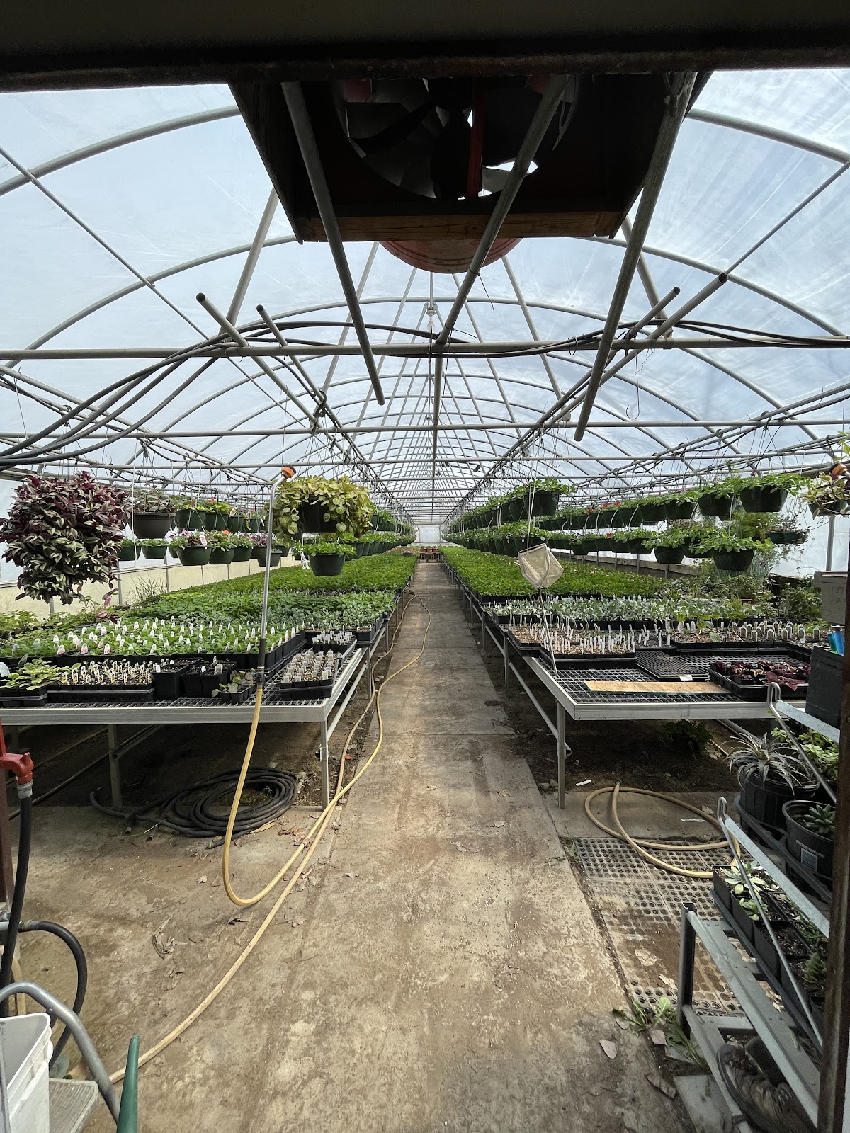 Bloomfield Garden Center