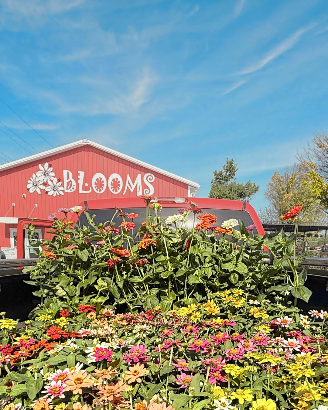 Blooms Garden Center • Nursery, Bistro & Gift Shop