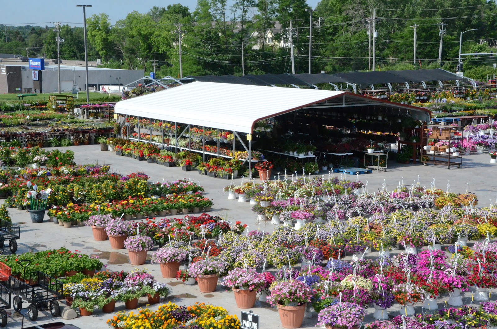 Blossom Farms