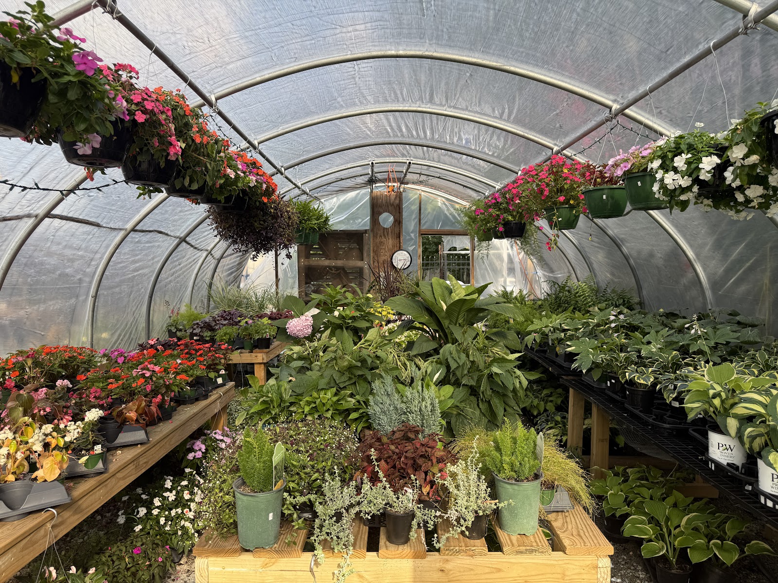 Blossom Plant and Produce