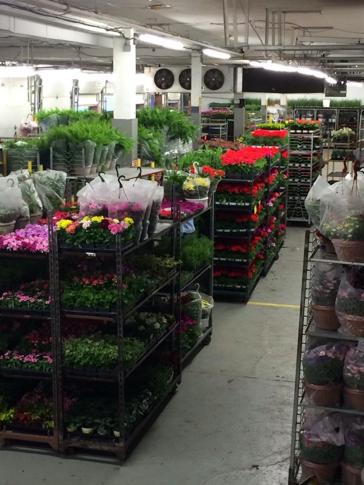 Bob's Market and Greenhouses, Inc. - Wholesale