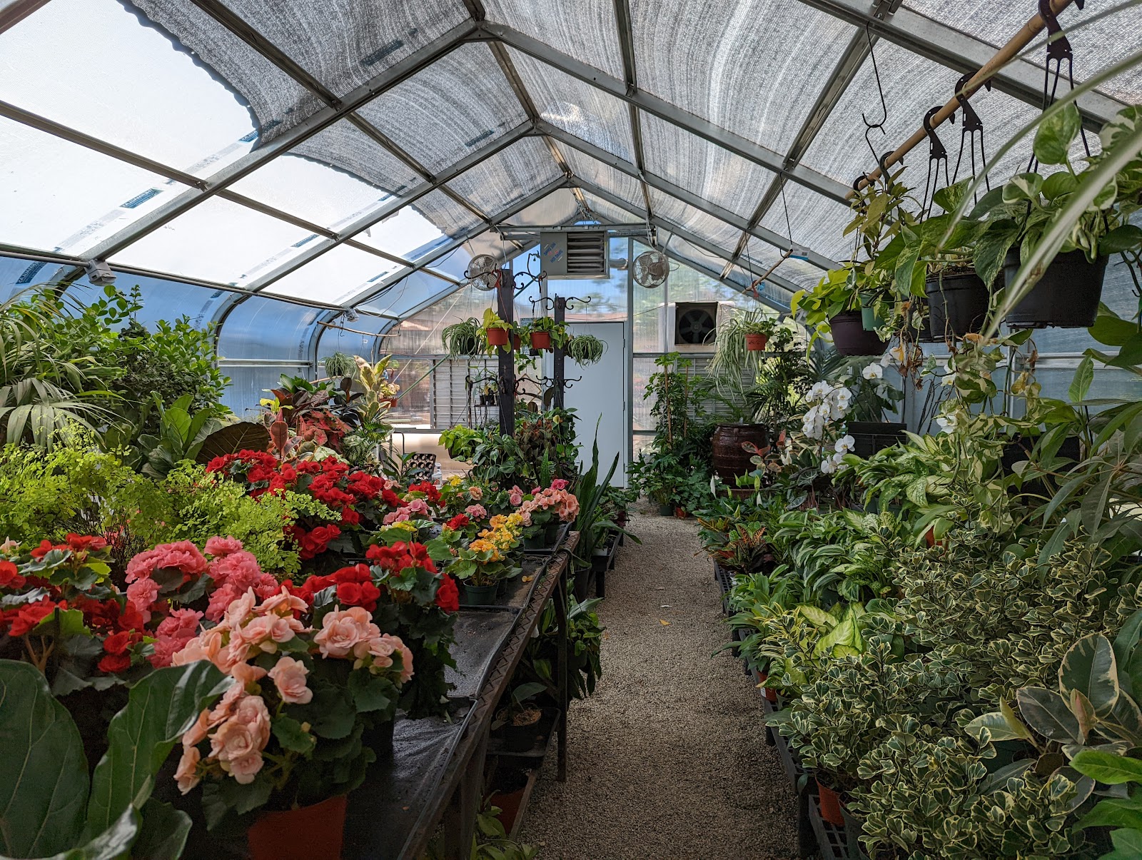 Bolles Nursery Landscape