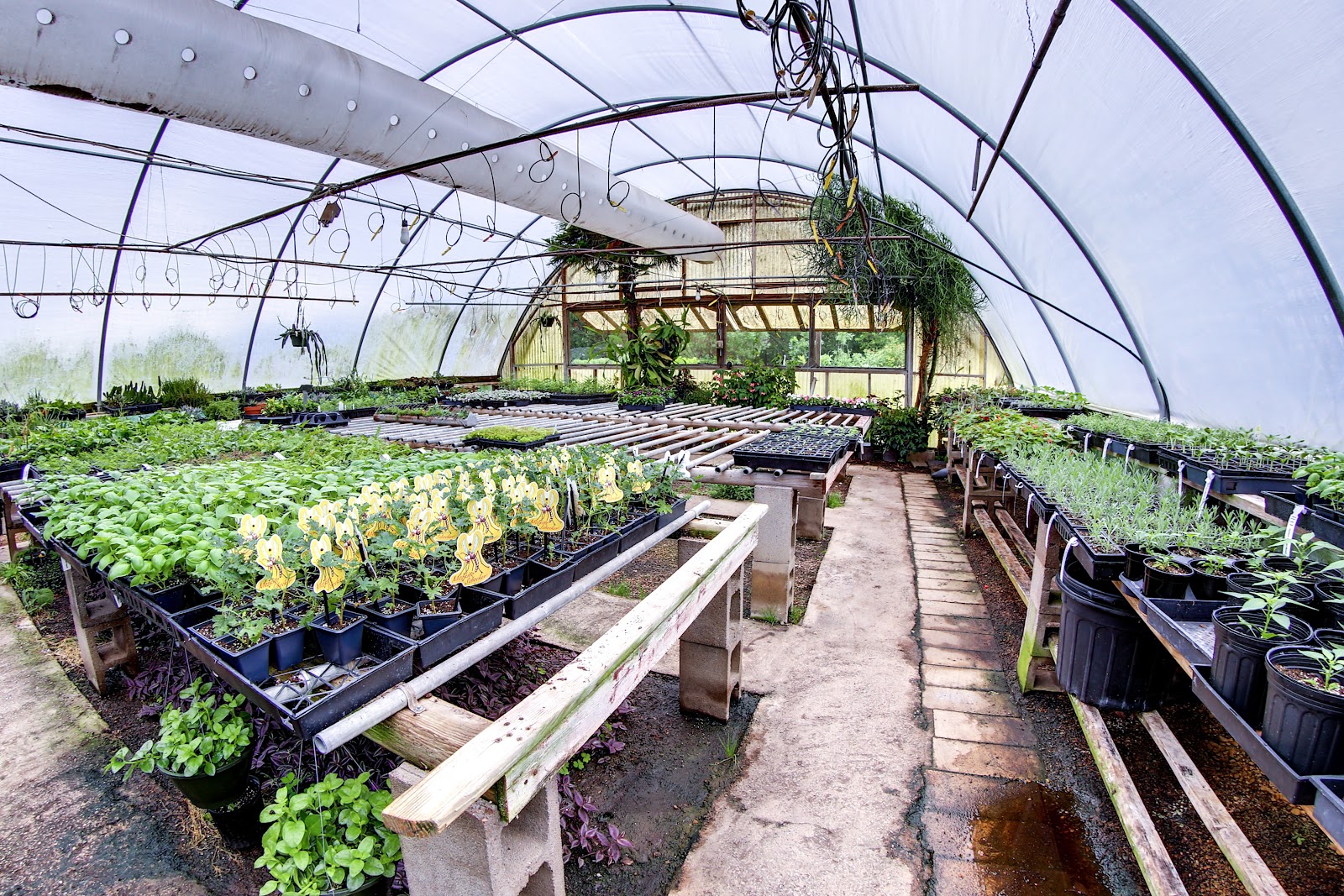 Bonnie's Greenhouse