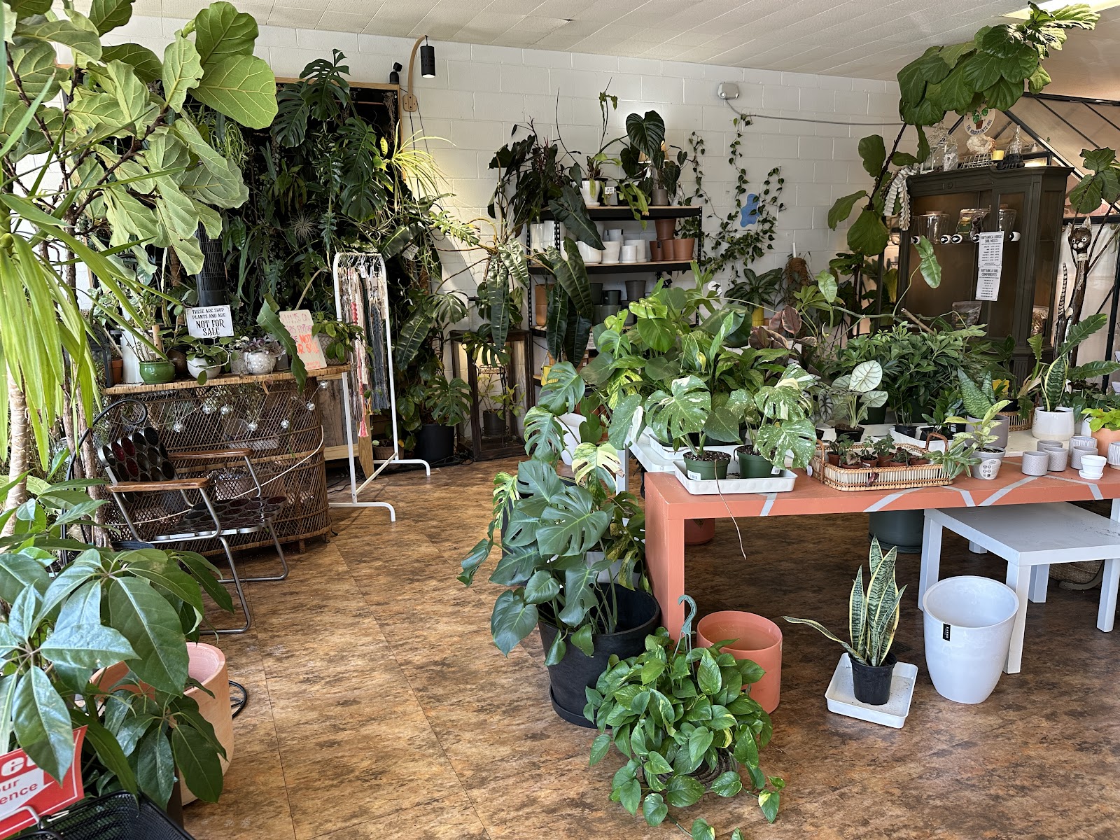 Botanica Huntsville