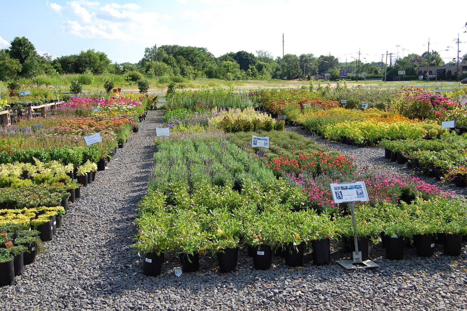 Bountiful Gardens