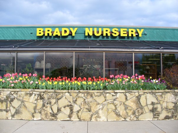 Brady Nursery