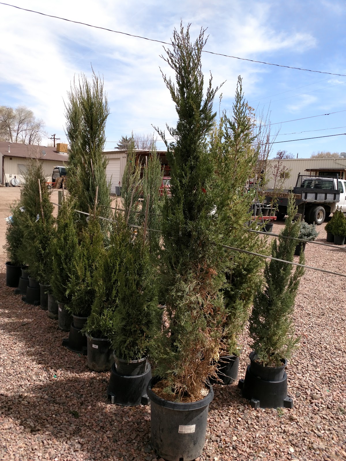 Brady's Garden and Spa Center