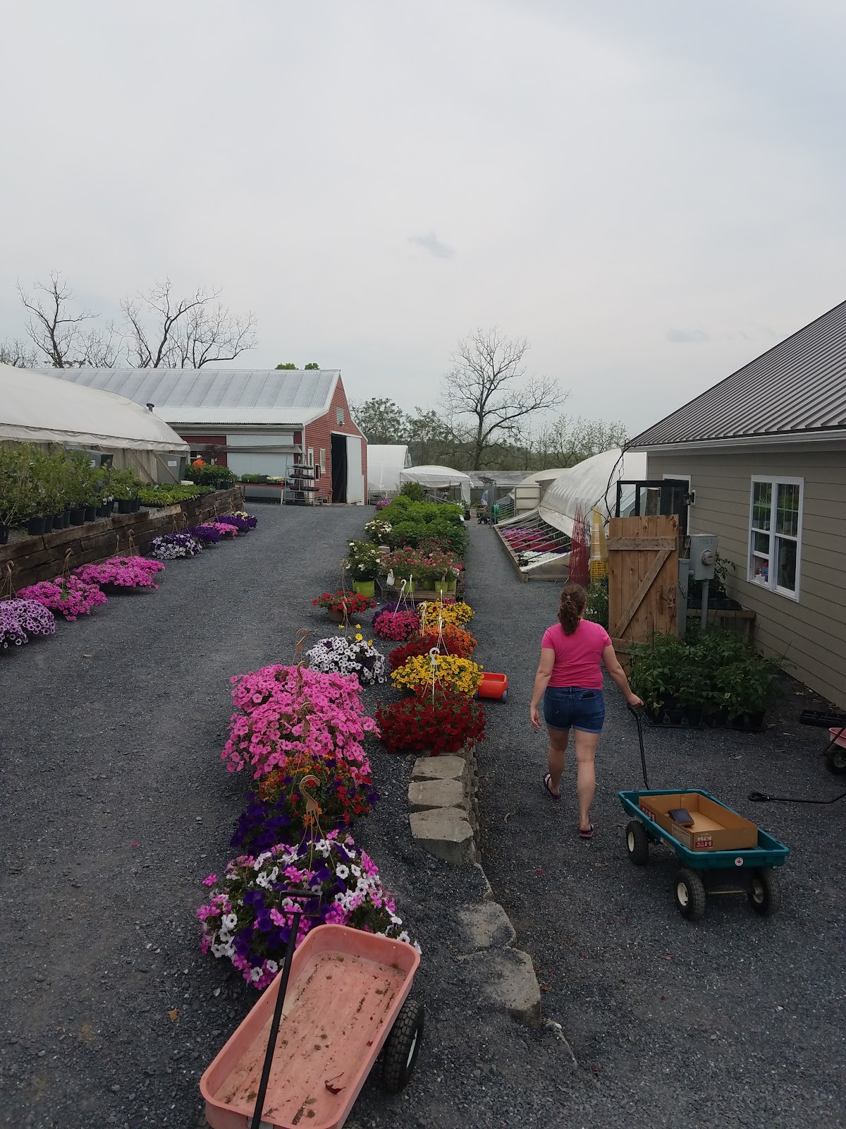 Bridgewater Greenhouses