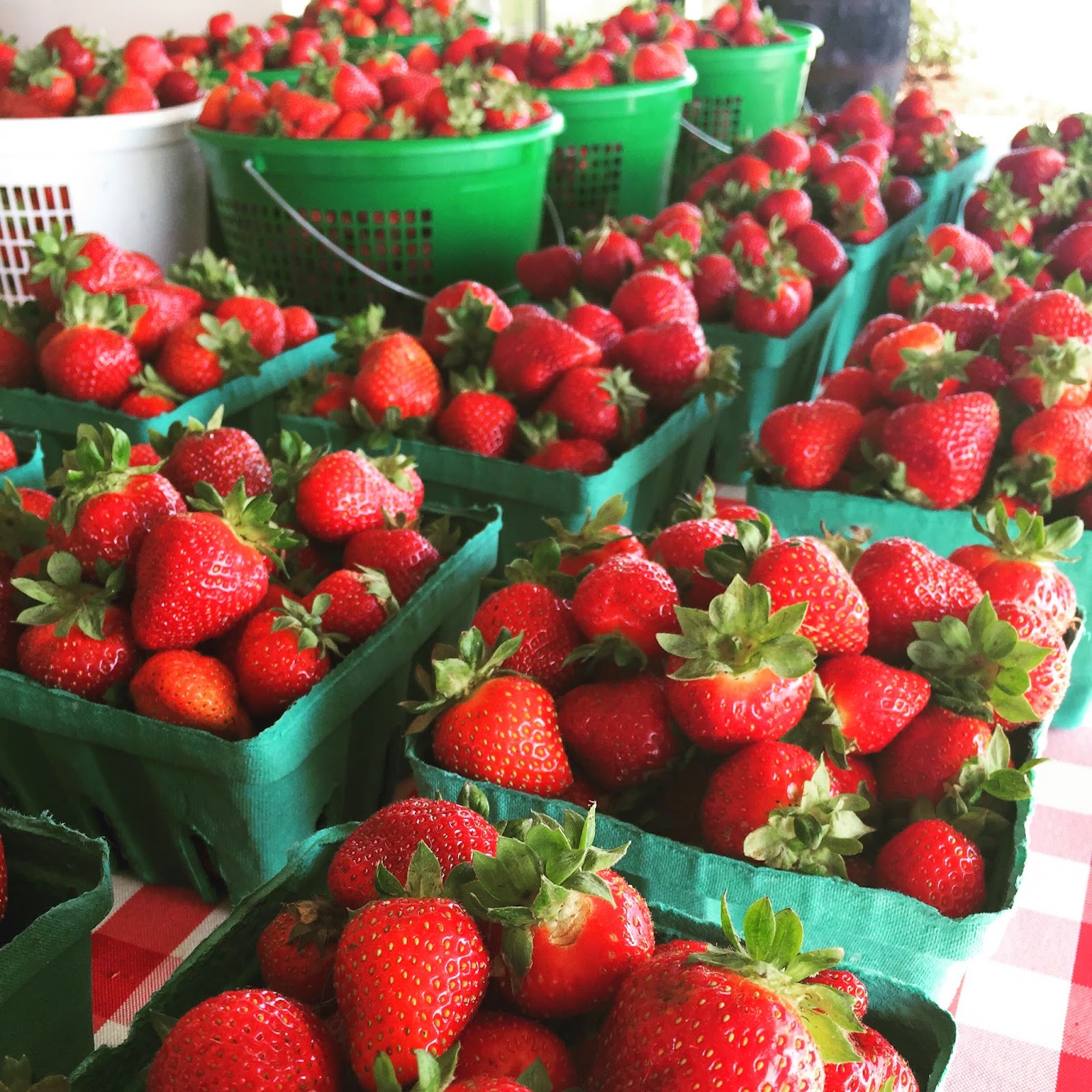 Brock's Berries & Farm