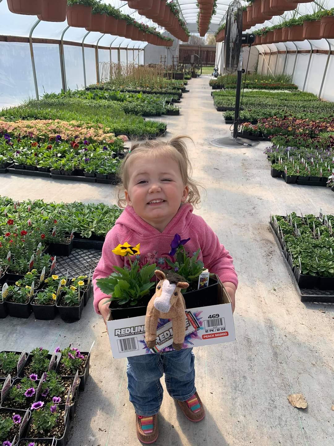 Brookfield greenhouse