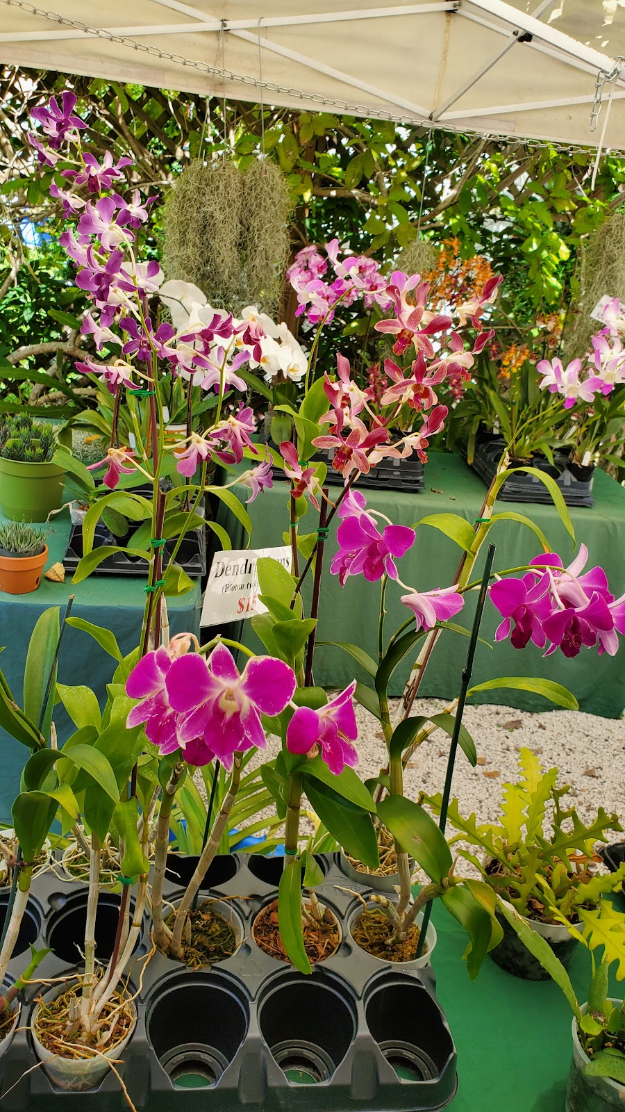 Broward Orchid Supply & Service Inc.