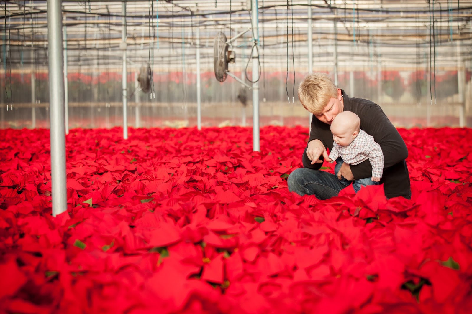 Bruce's Greenhouses Inc