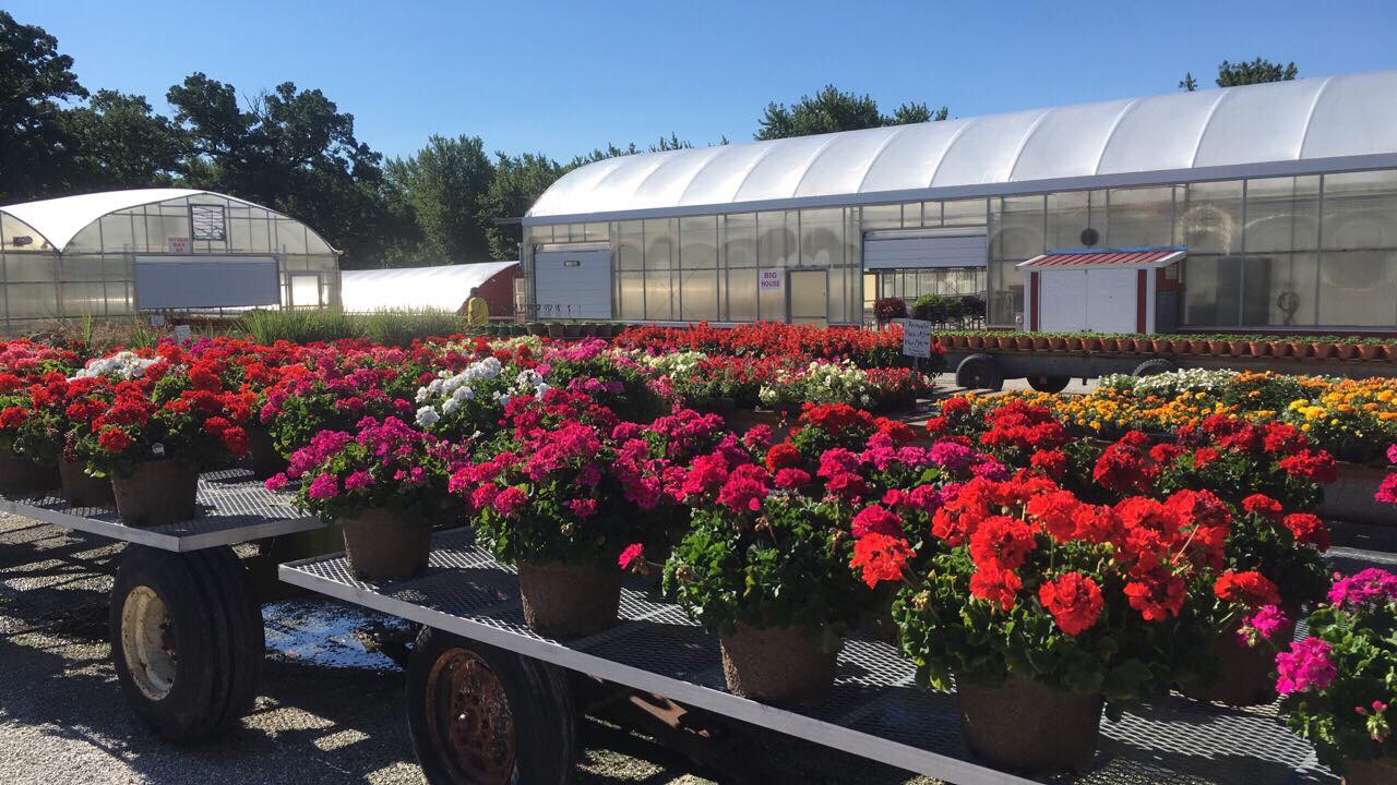 Burr Oaks Greenhouse