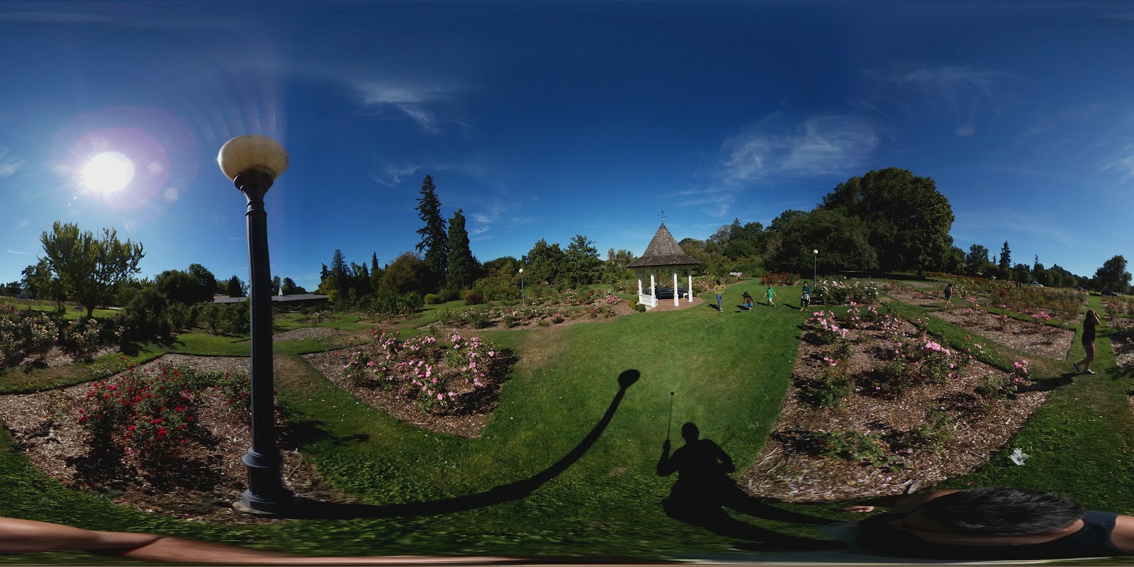 Bush’s Pasture Park Rose Garden
