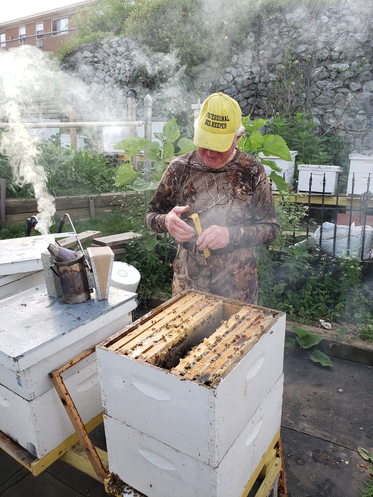 Busy Bee Farm