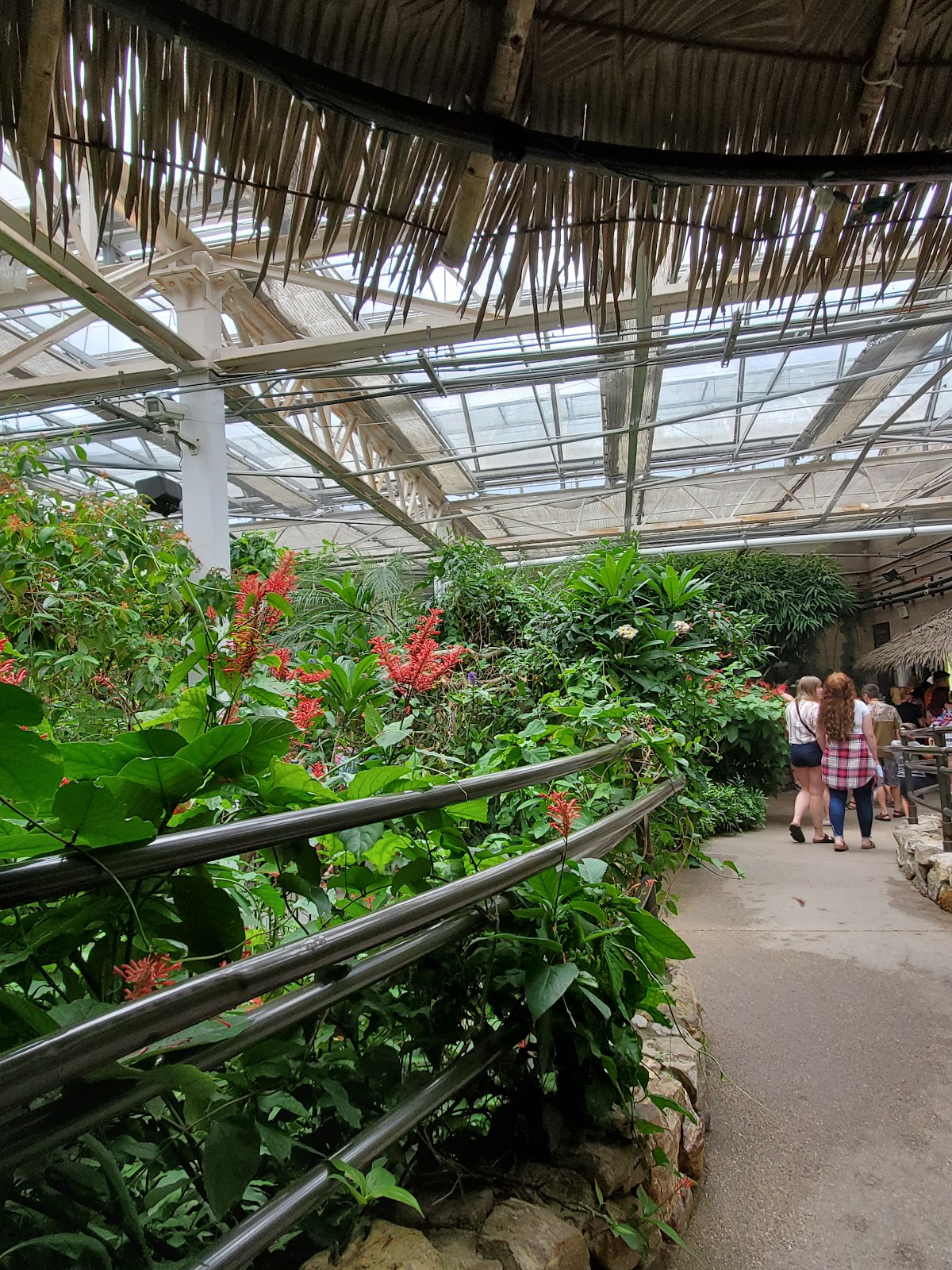 Butterfly House