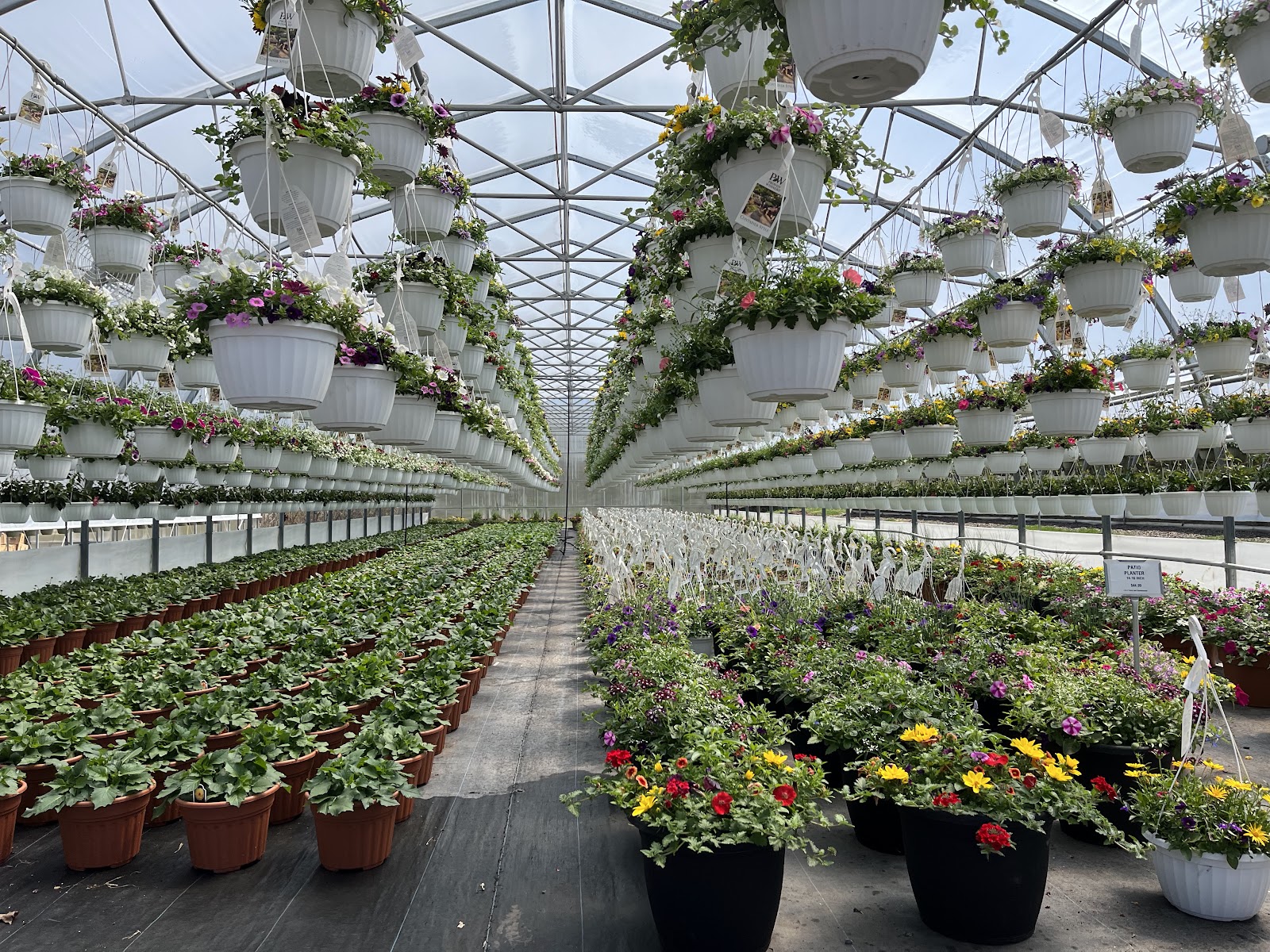 C & J Farms & Greenhouses Garden Center