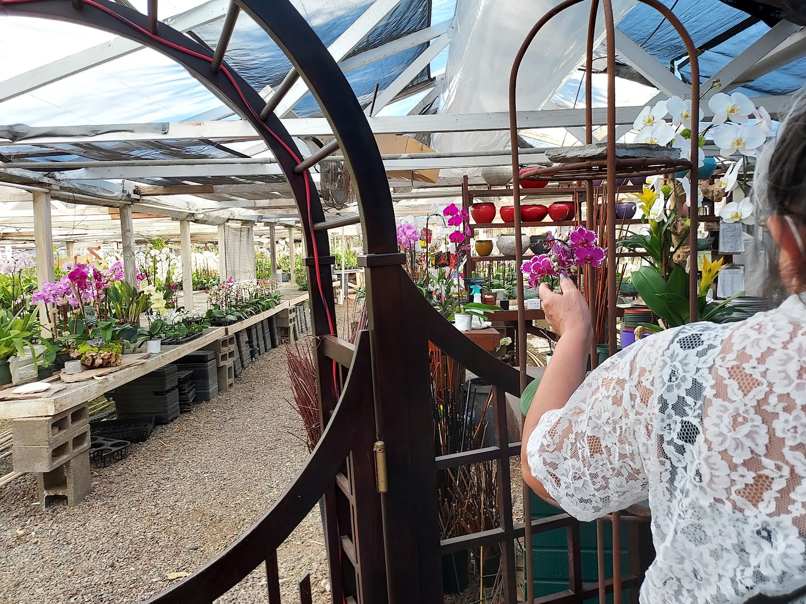 Cal Pacific Orchid Farm