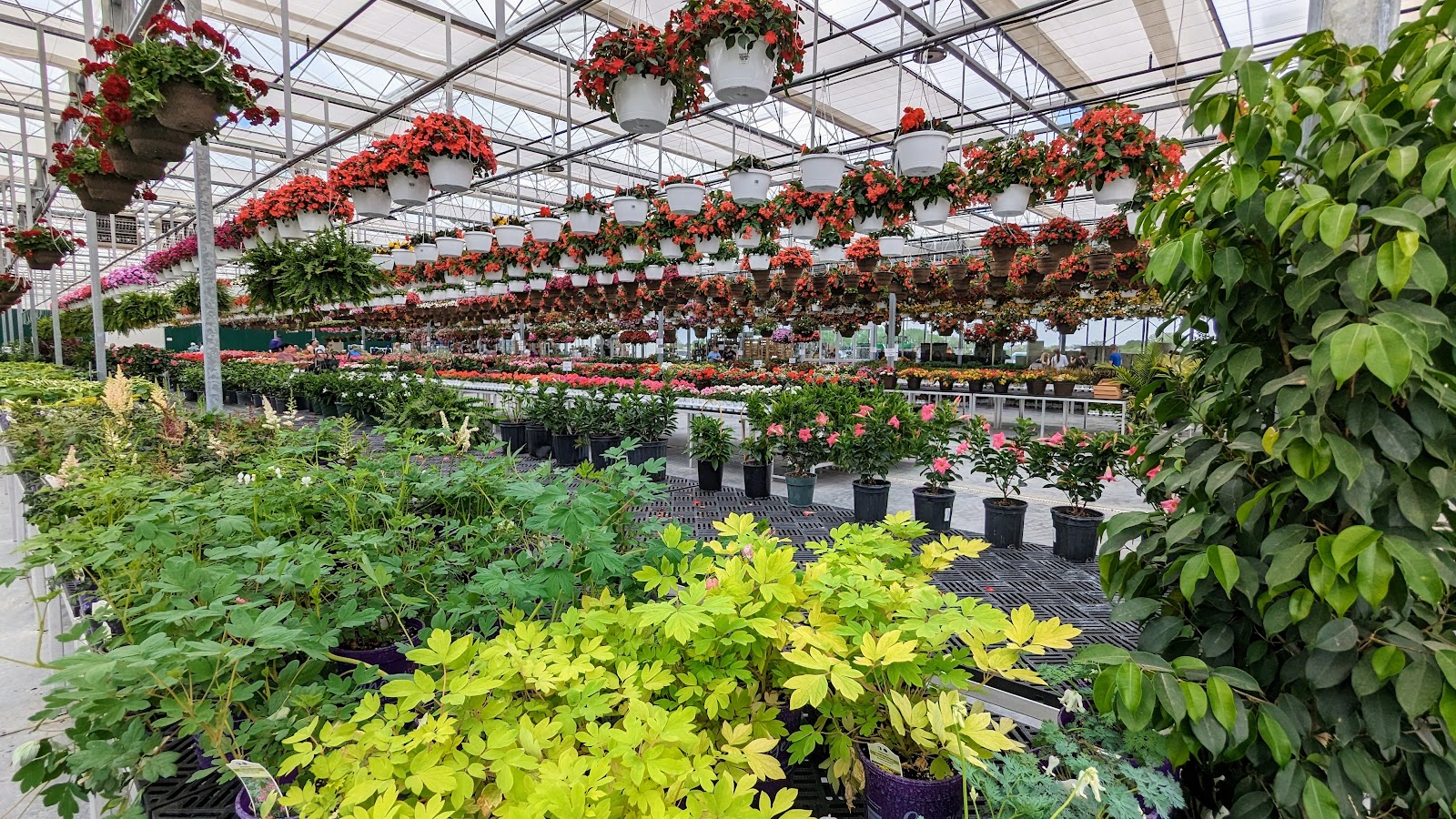 Canoyer Garden Center