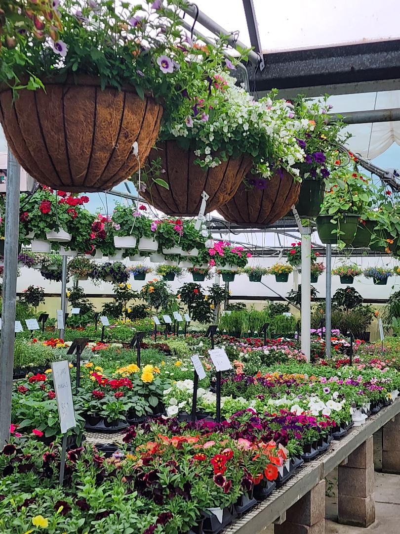 Canton Road Garden Center Inc