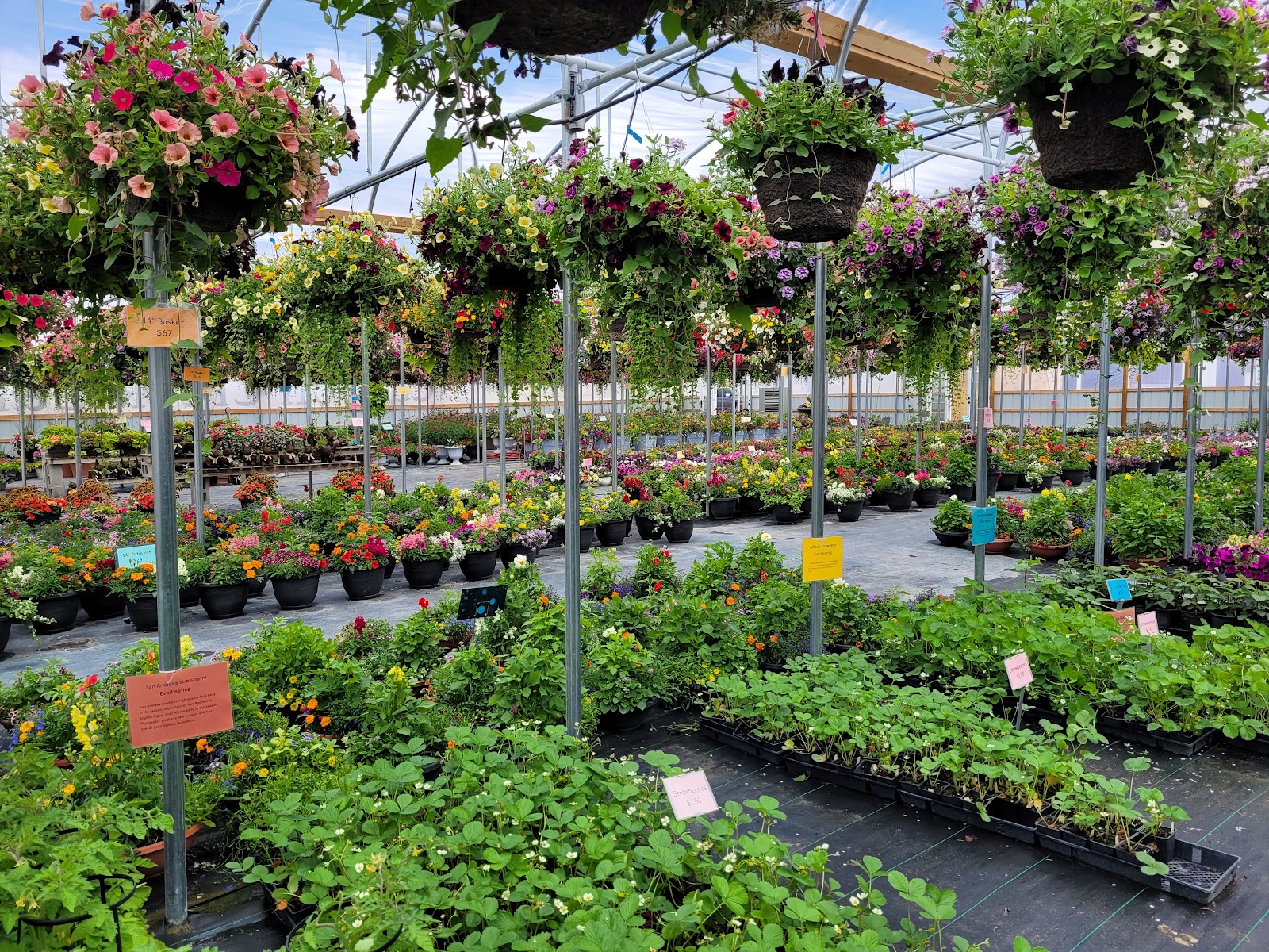 Canyon Creek Gardens