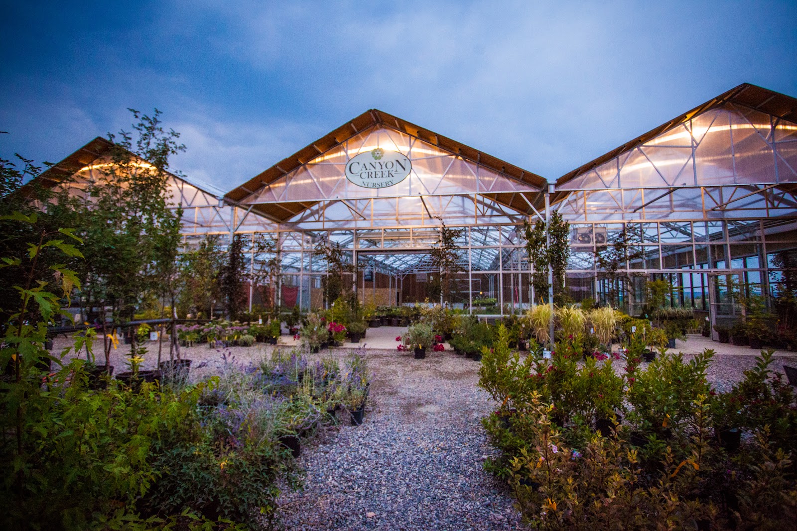 Canyon Creek Nursery