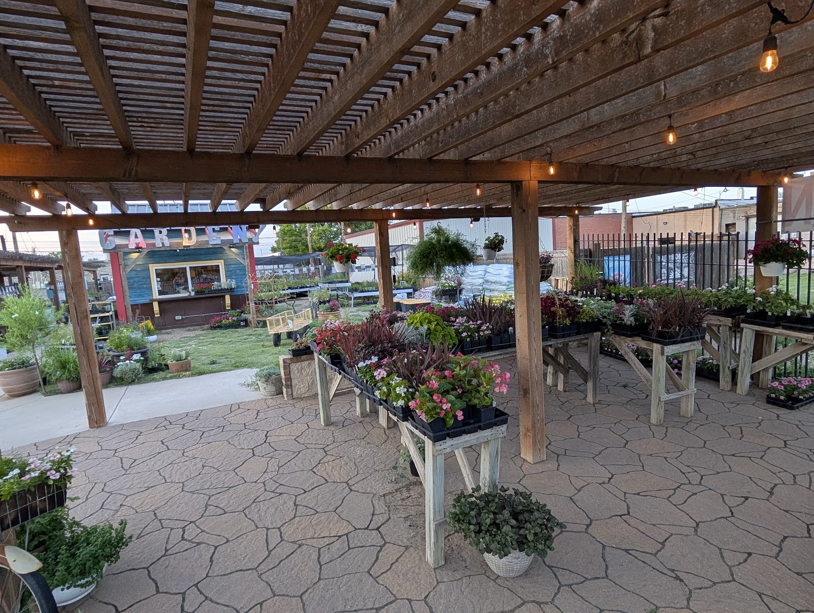Canyon's Edge Plants