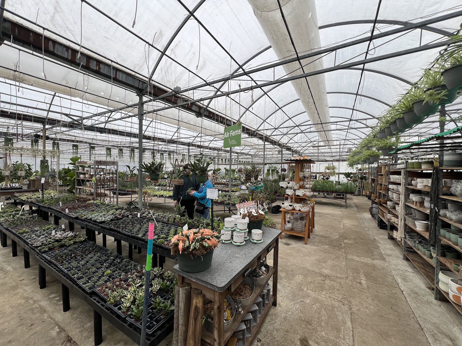 Carlsons' Greenhouse