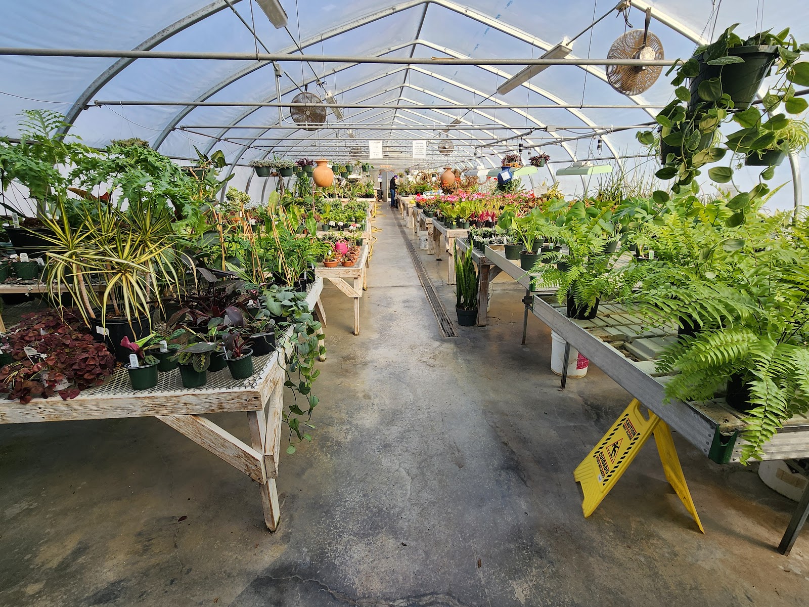 Carol Watson Greenhouse and Landscaping