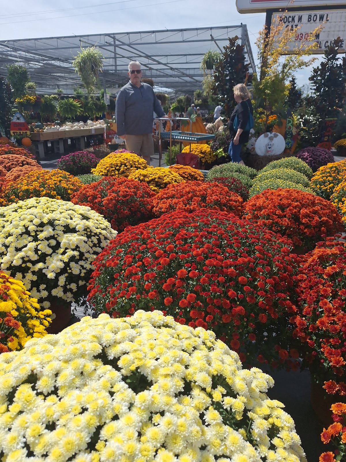 Carolina Girl Gardens