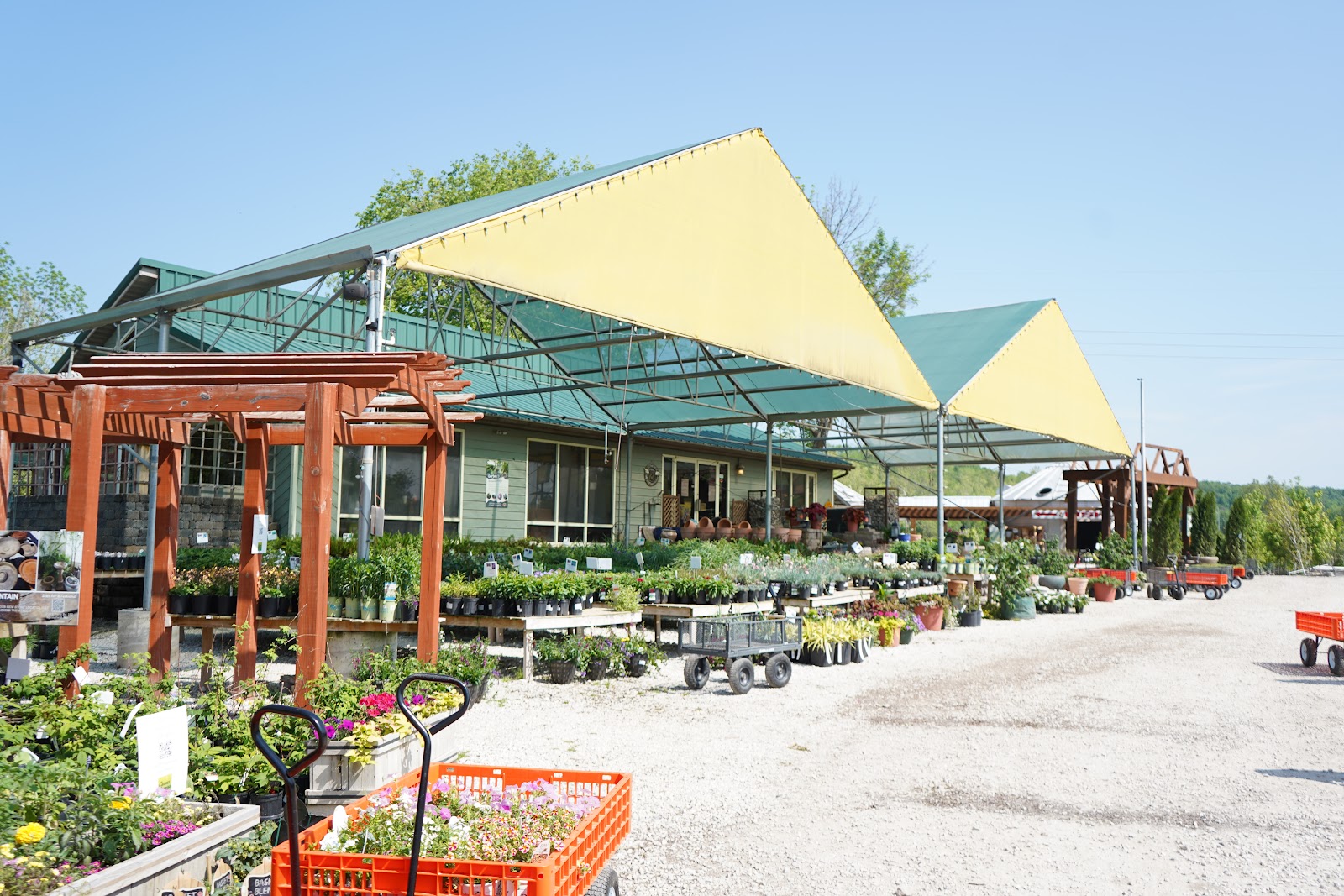 Carson's Nurseries