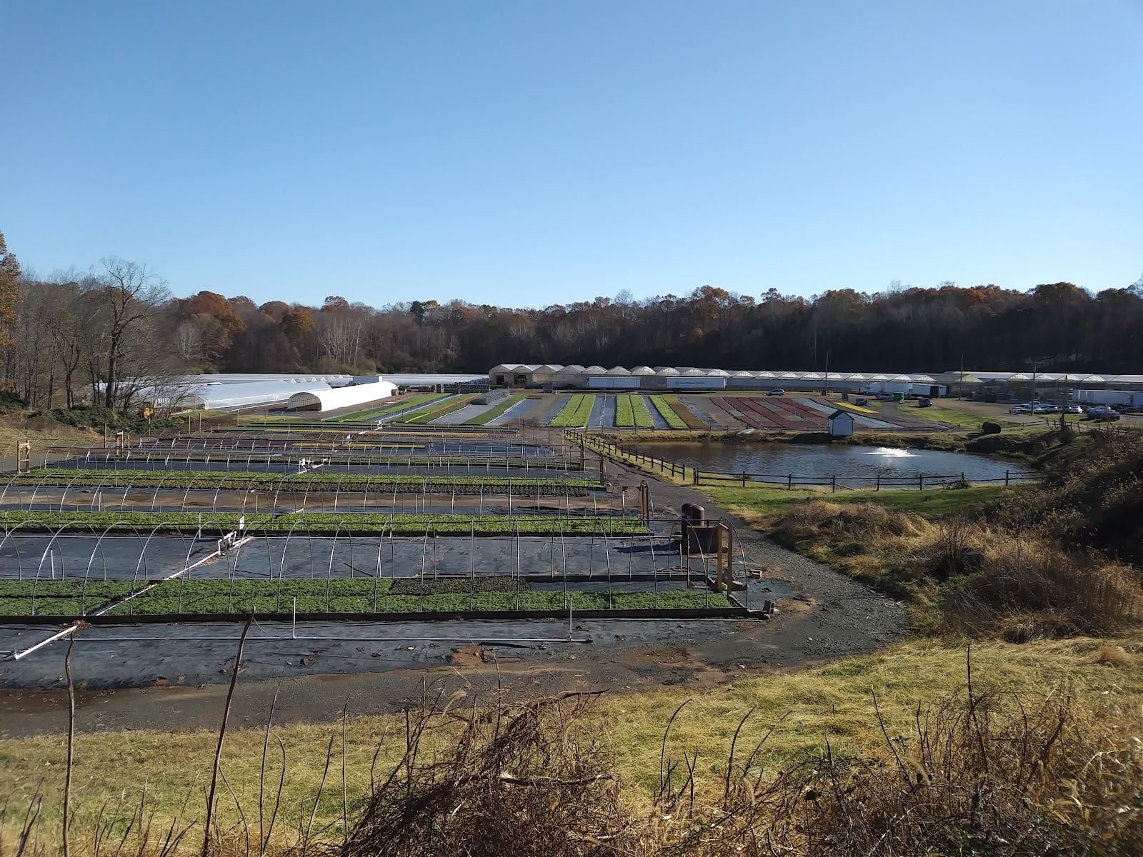 Casertano's Greenhouse & Farms