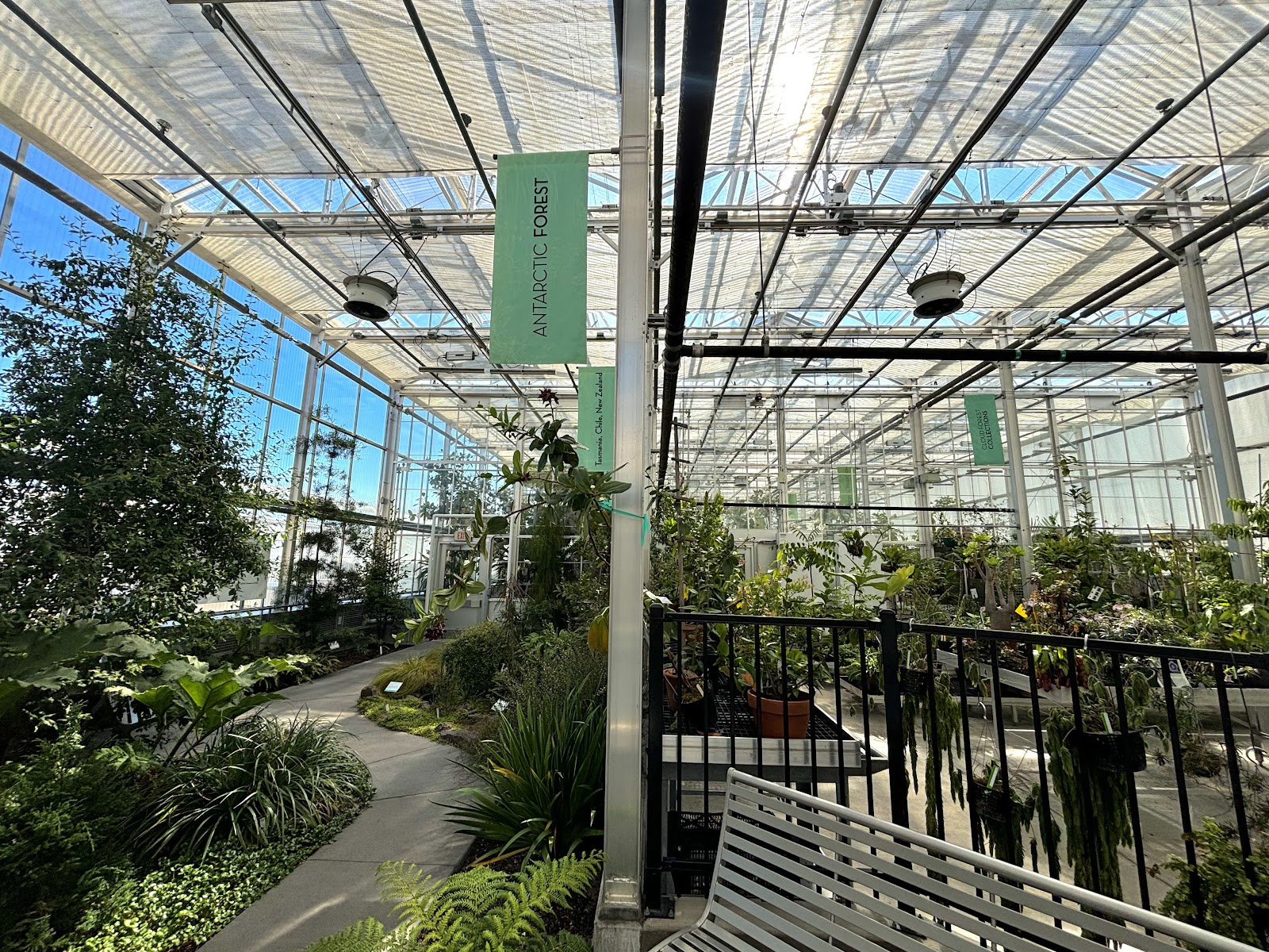 CBS Conservatory