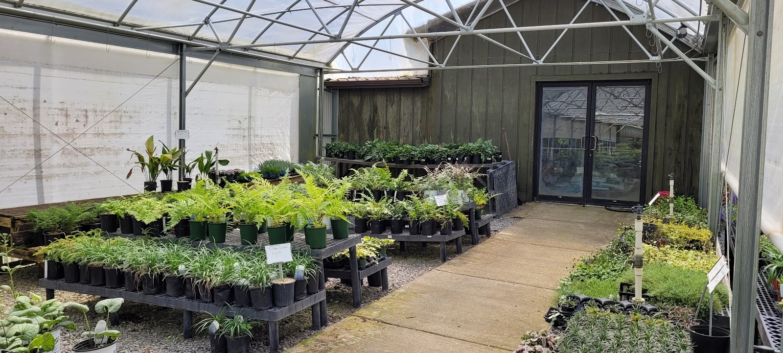 Cedar Creek Nursery Inc