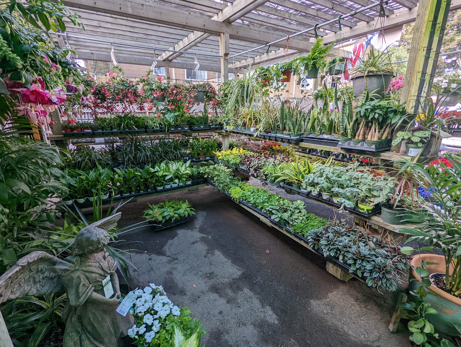 Central Wholesale Nursery