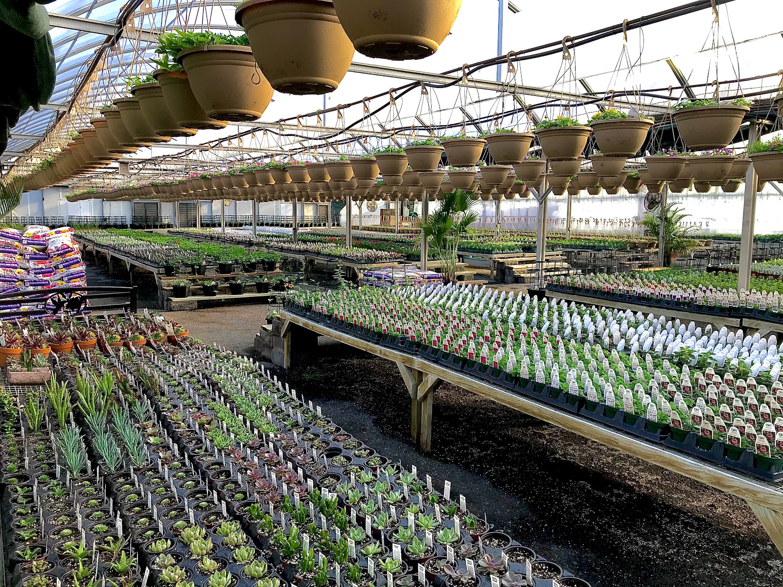 Cerbo's Parsippany Greenhouse