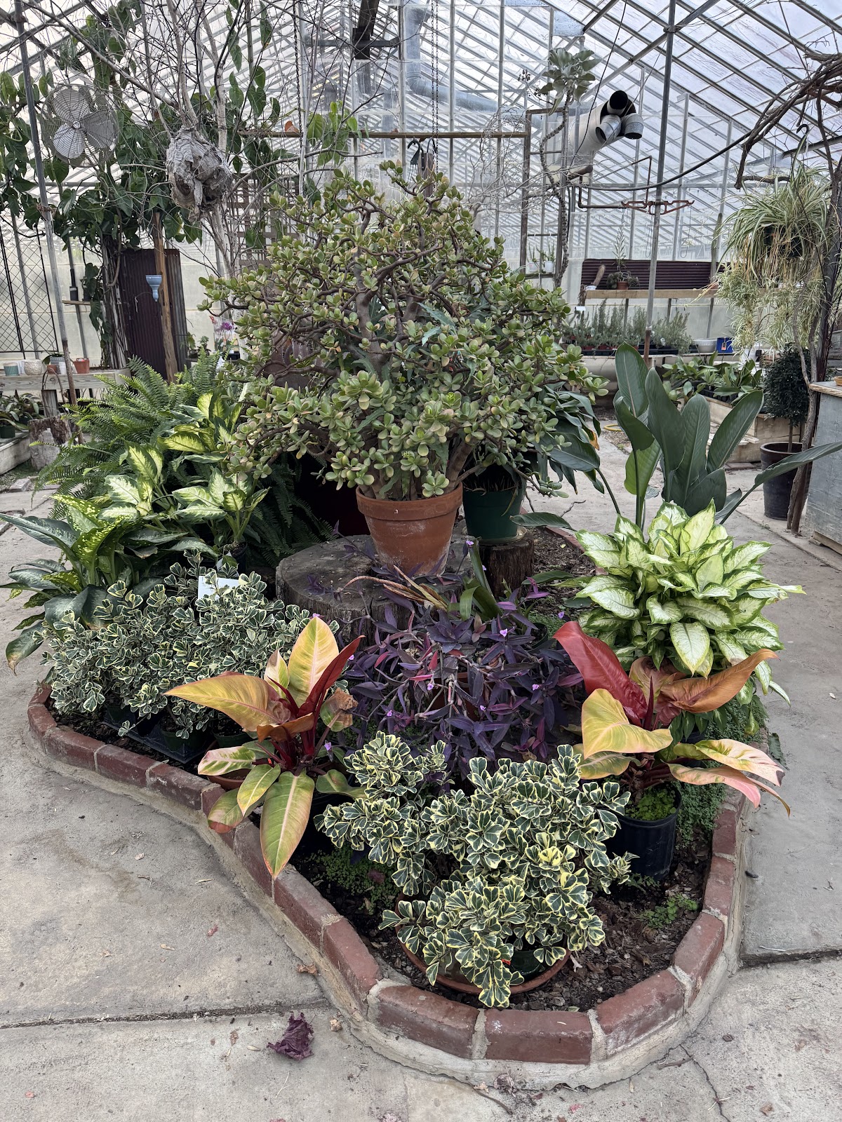 Chadds Ford Greenhouses