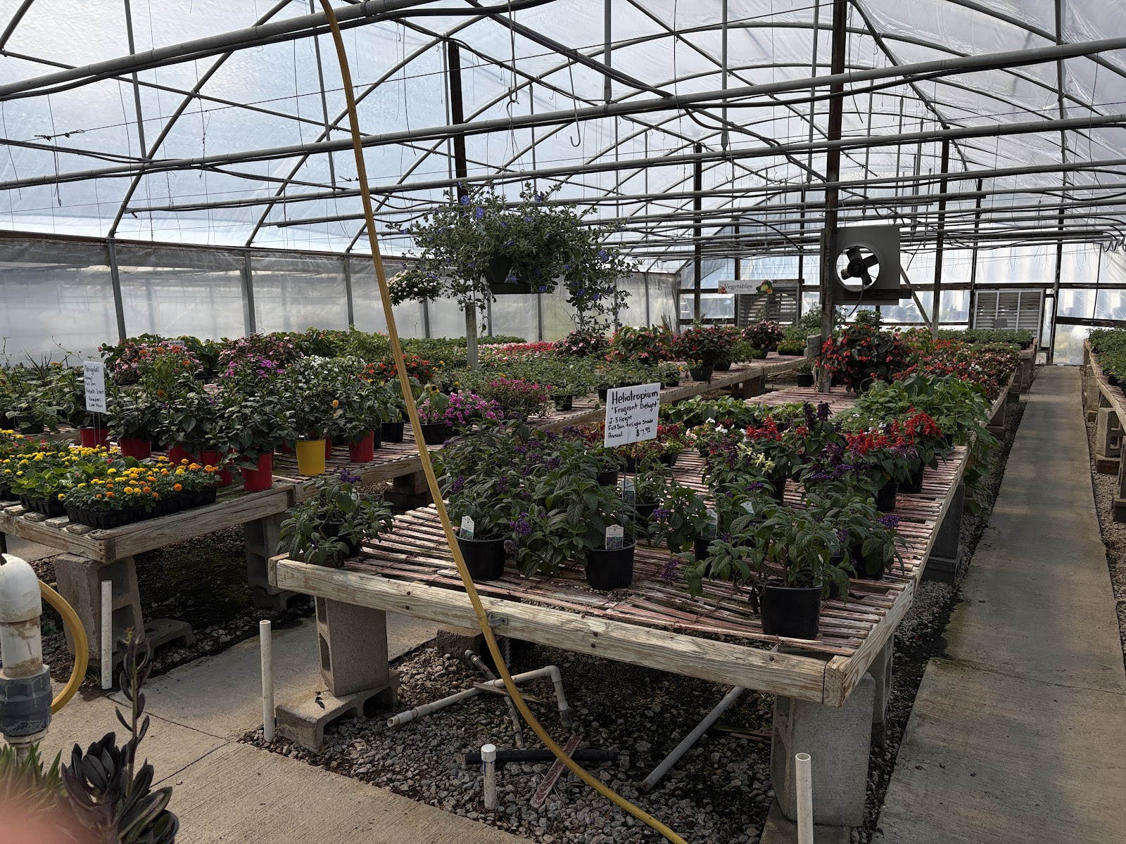 Chris' Greenhouse & Garden Center
