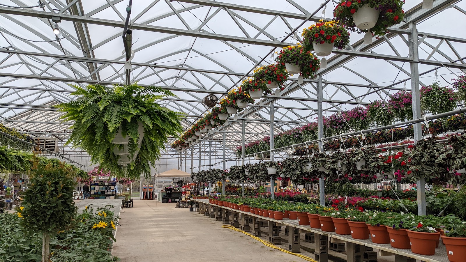 Christians Greenhouse