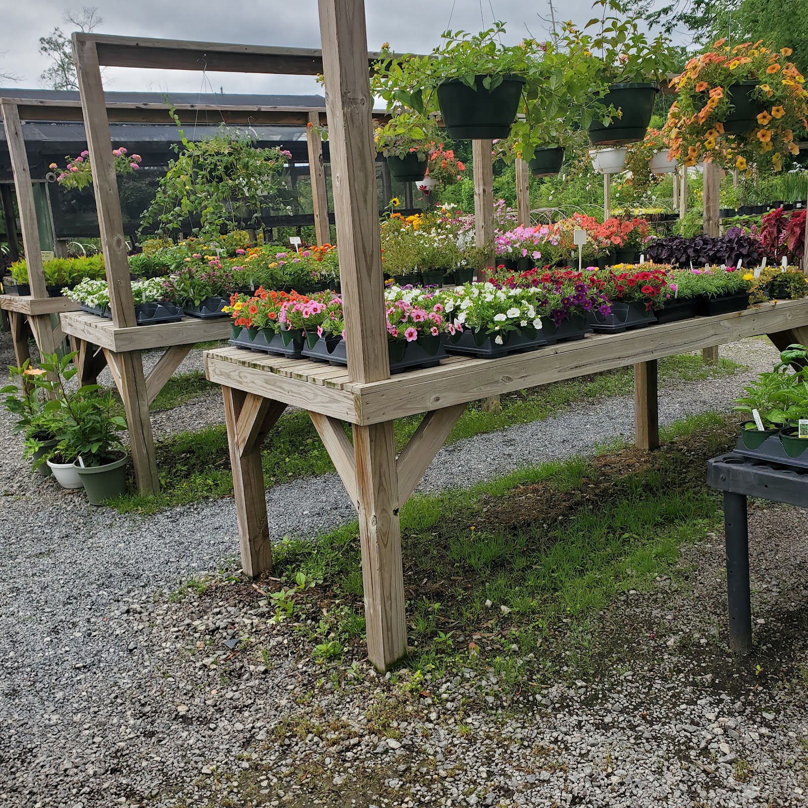 Christy's Nursery