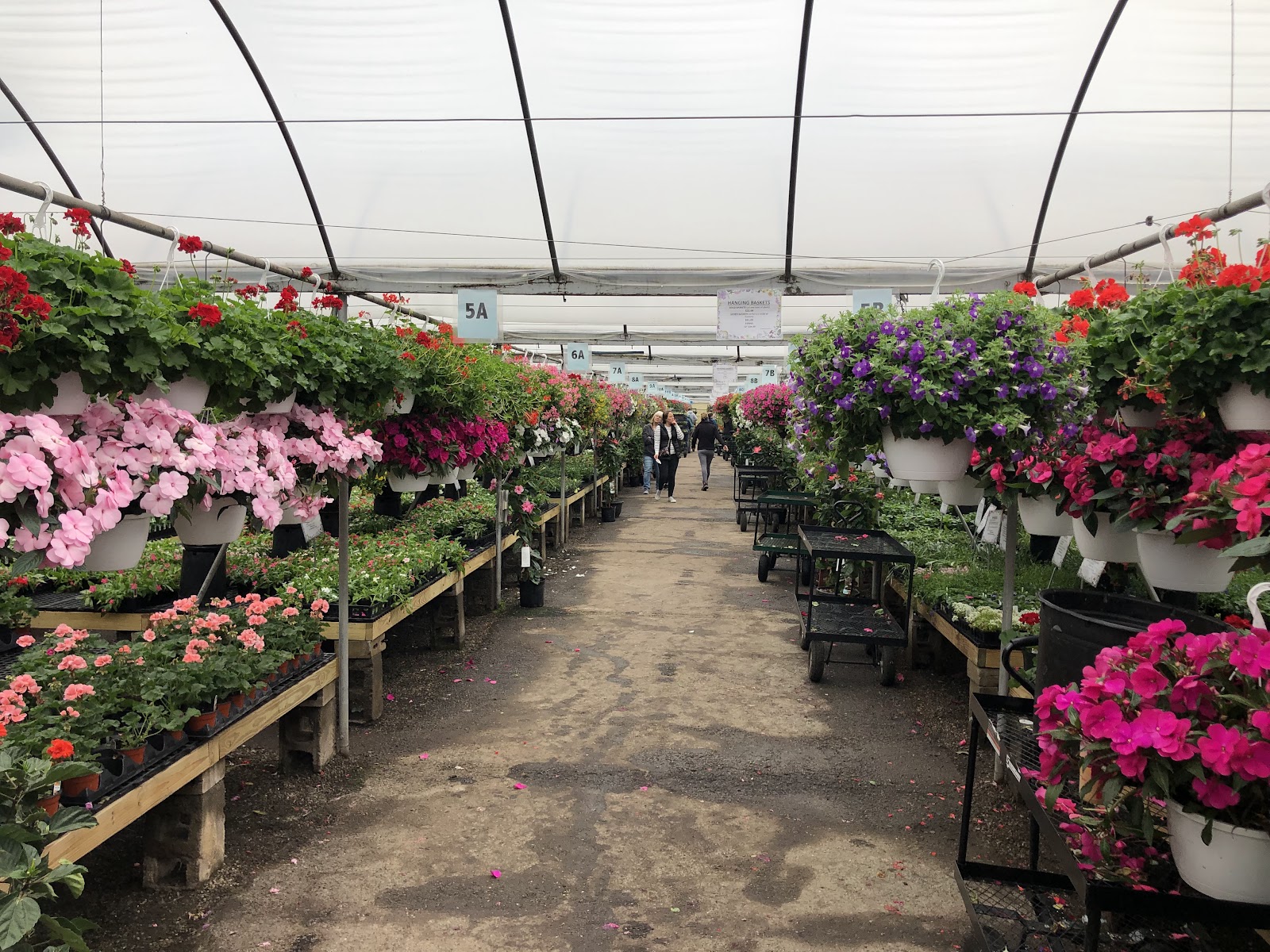 Cierech Greenhouses