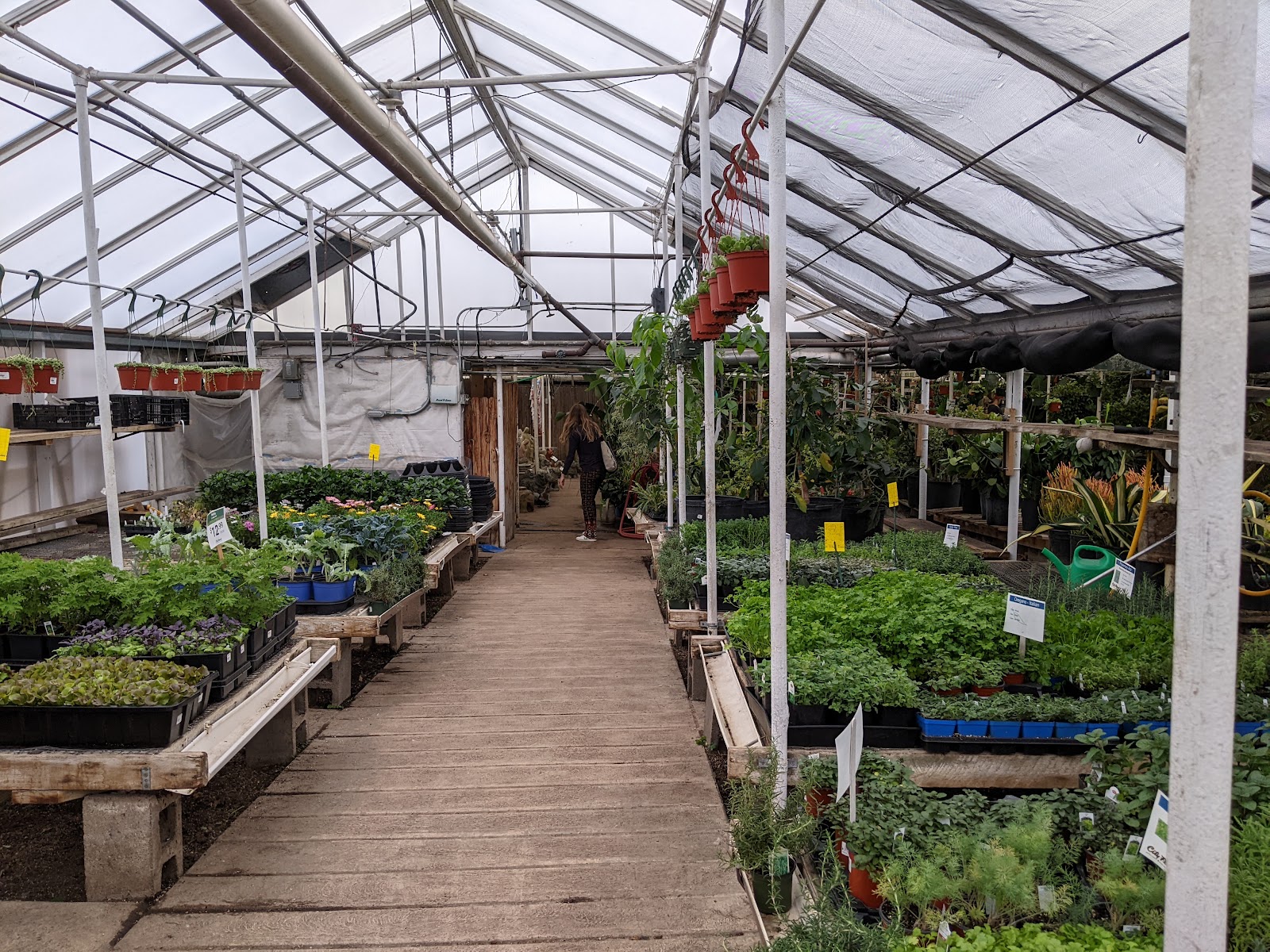 City Floral Garden Center