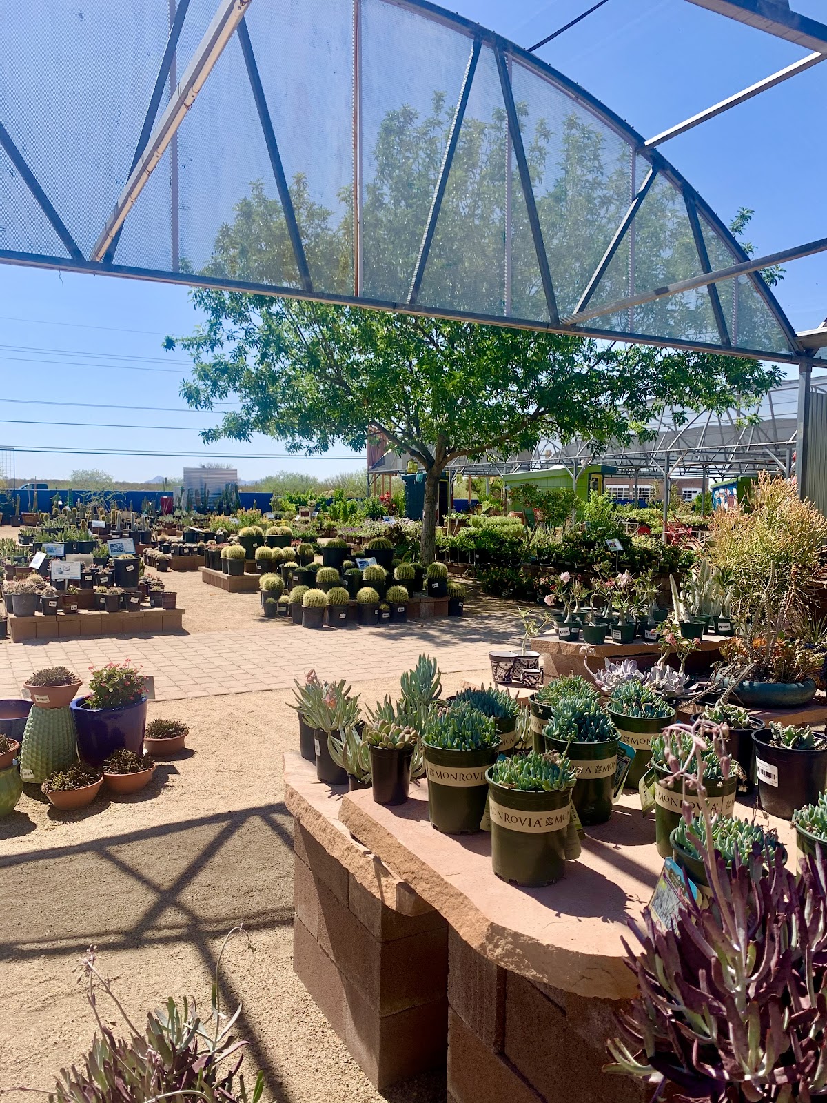 Civano Nursery - Retail Location