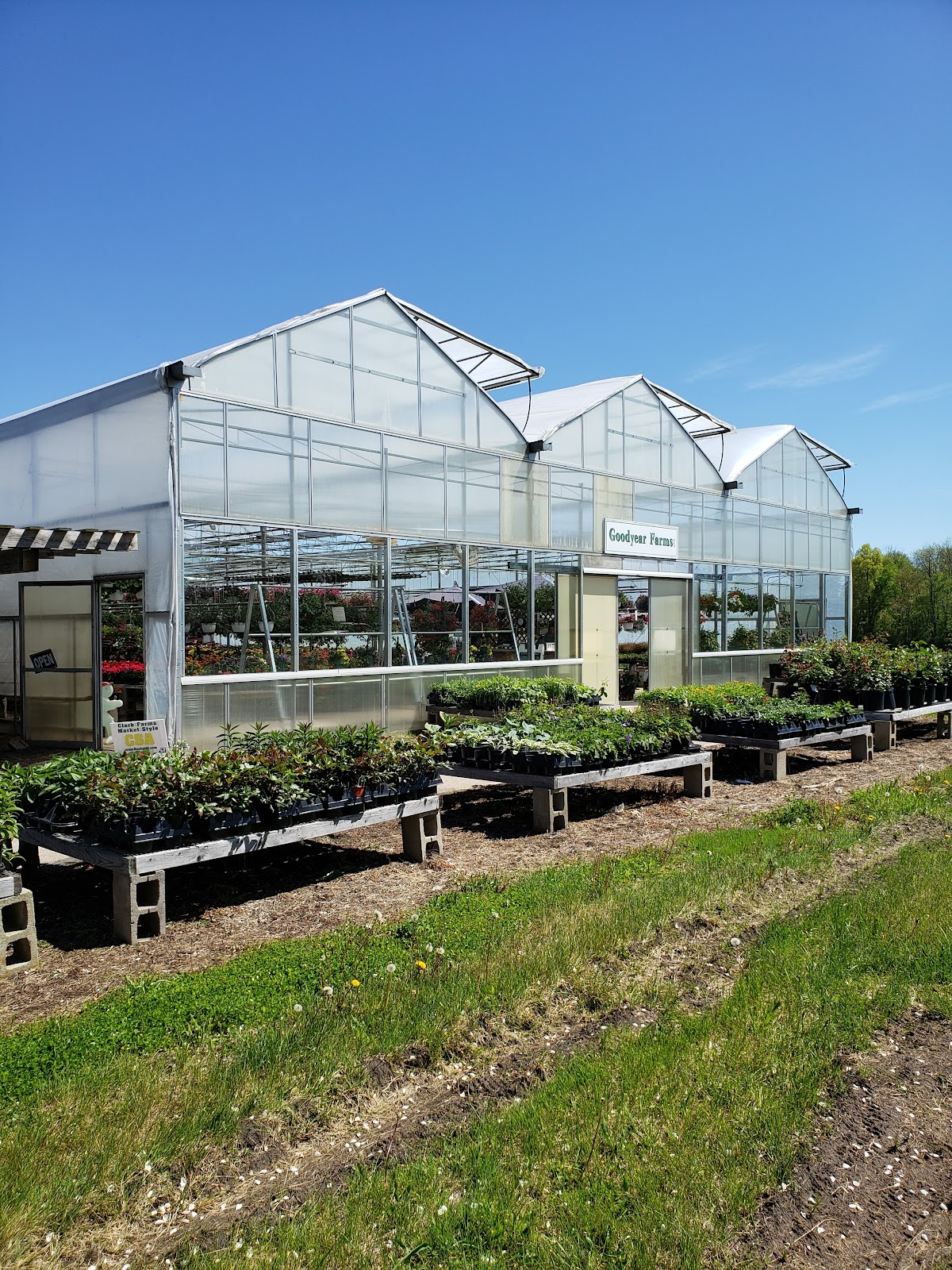 Clark Farms Greenhouses
