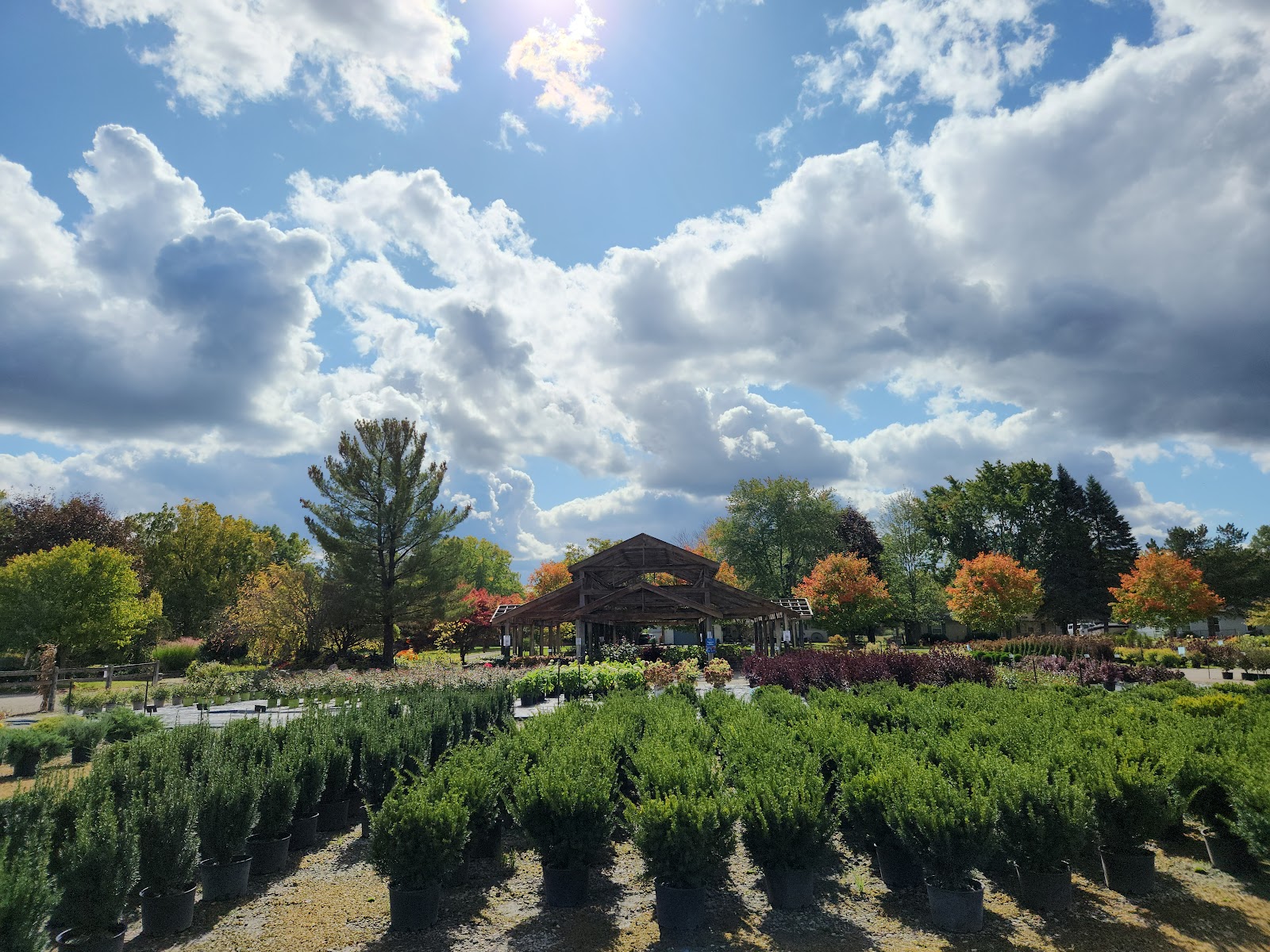 Clarks Greenhouse & Nursery LLC