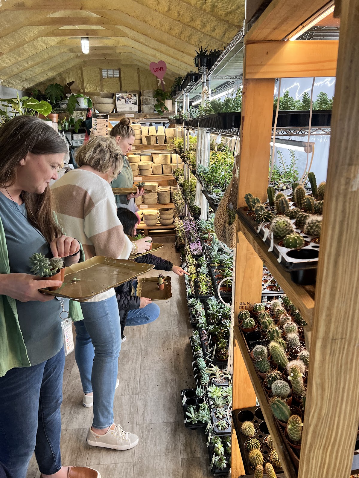 Classy Cactus Farm, LLC